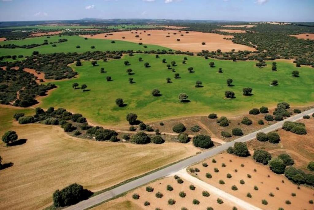 אוסה דה מונטיאל Villa Cerro Moreno מראה חיצוני תמונה
