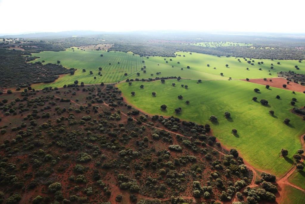 אוסה דה מונטיאל Villa Cerro Moreno מראה חיצוני תמונה
