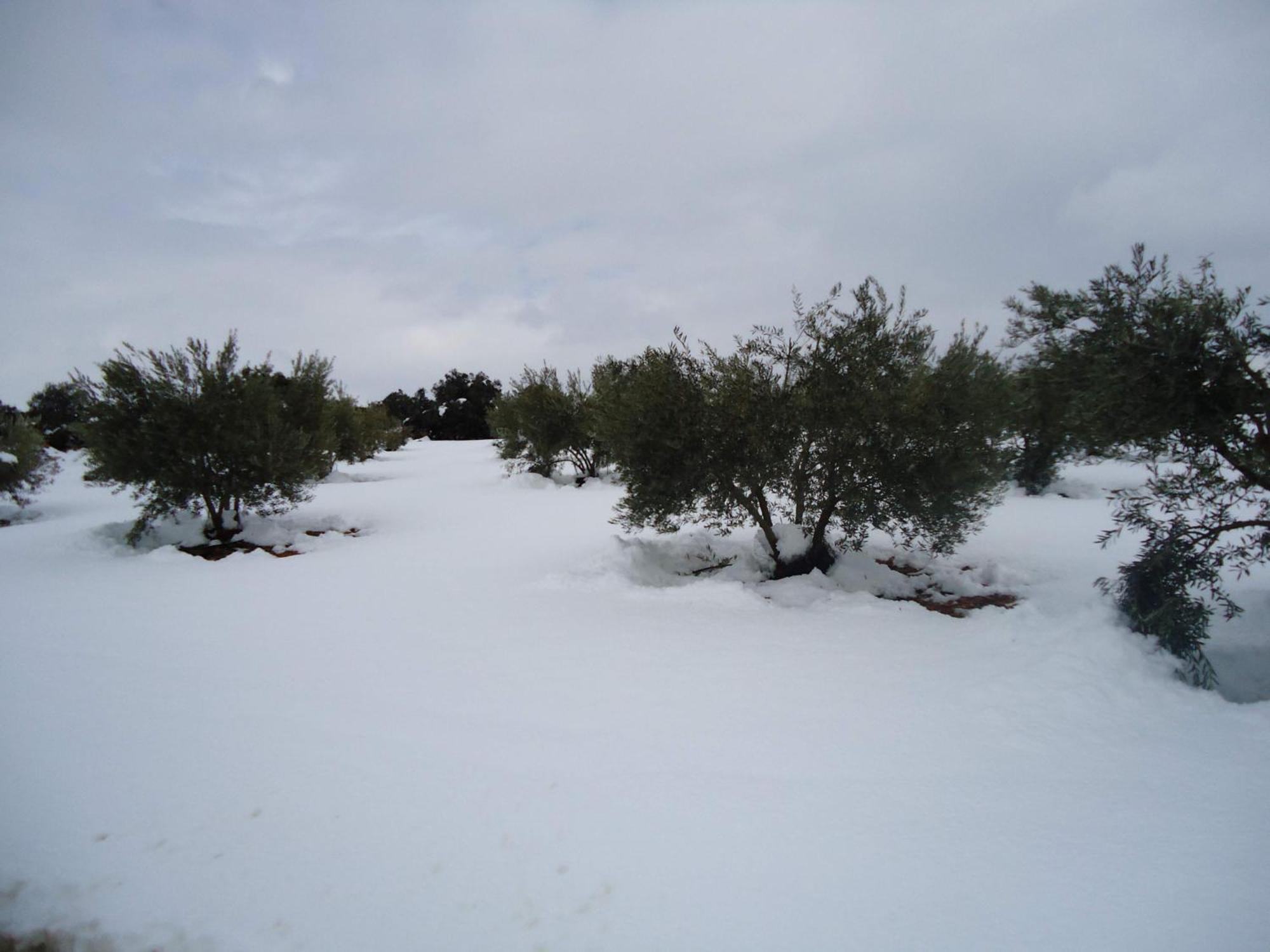 אוסה דה מונטיאל Villa Cerro Moreno מראה חיצוני תמונה